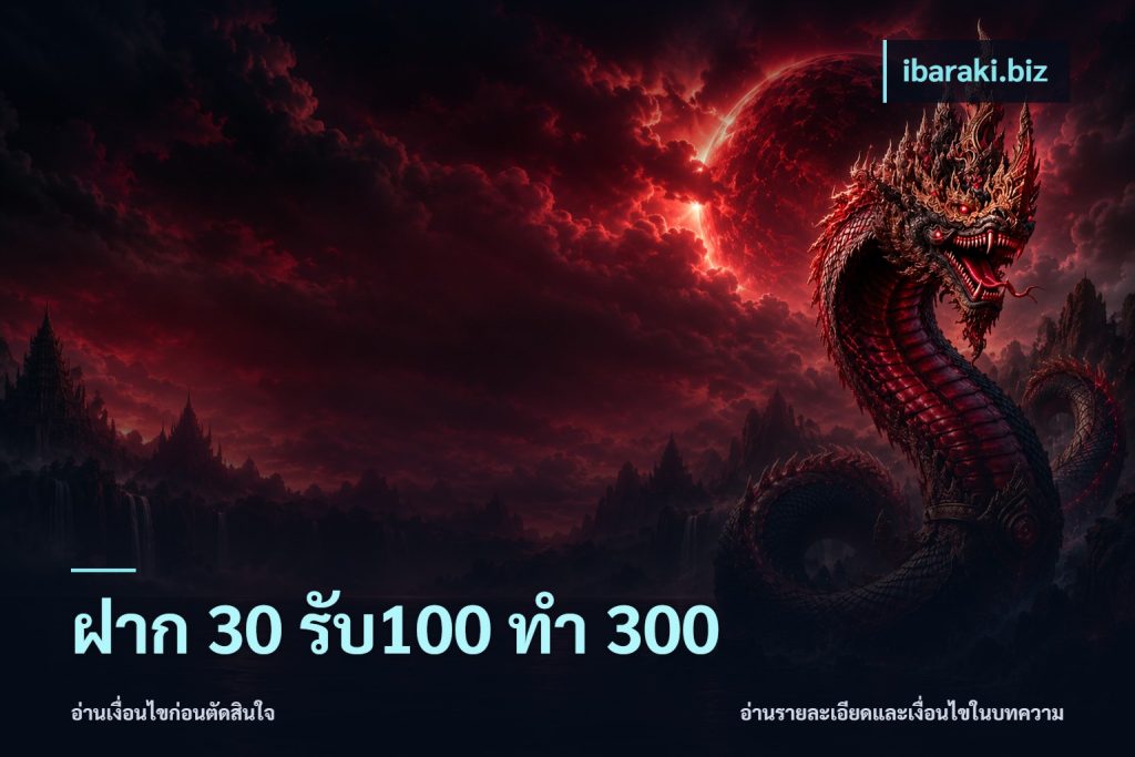 ฝาก 30 รับ100 ทำ 300